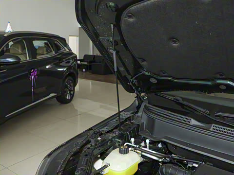 2026�� 165km ������������ 7��