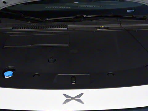 2025�� �������� Max �콢��