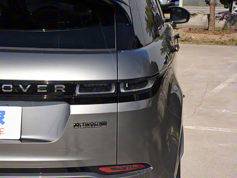 2021�� ����L P300e ������