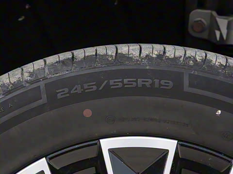 2025�� 115km Pro��