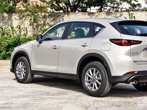 2025�� 2.0L �Զ���������Pro