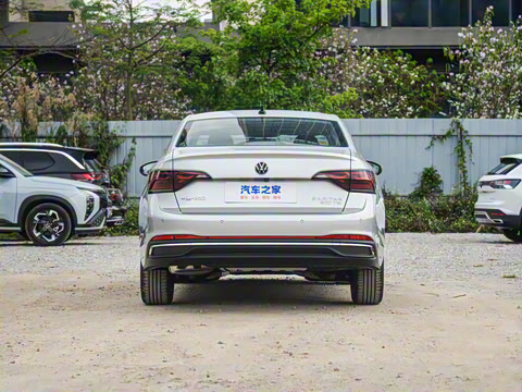 2025�� �Ŀ�� 300TSI DSG��Խ��