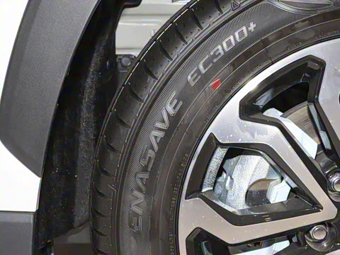 2024�� 2.0L ���ܵ��˫�� ������