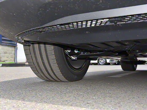 2022�� ������������