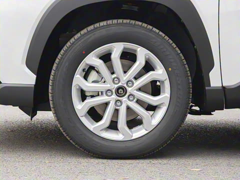 2024�� 2.0L CVT��Ӣplus��