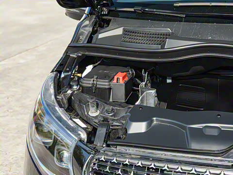 2025�� V 300 L ������˹ �˶���