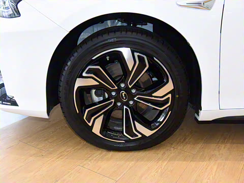 2022�� ���������