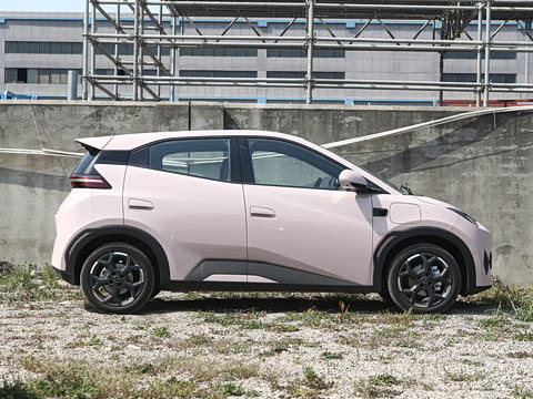 2025�� �Ǽݰ� 305km ���ɰ�