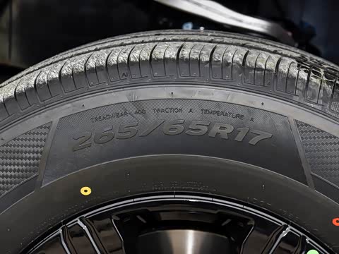 2025�� 2.0T ��ս��