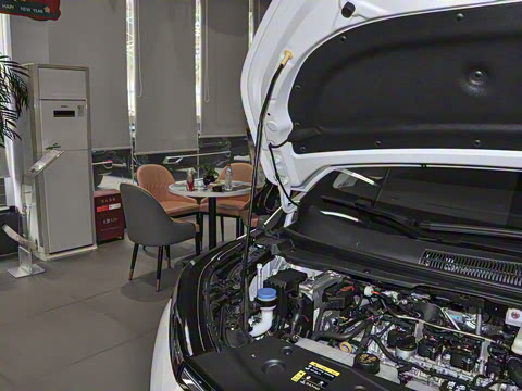 2024�� ��ҫϵ�� 2.0L ���ڰ�