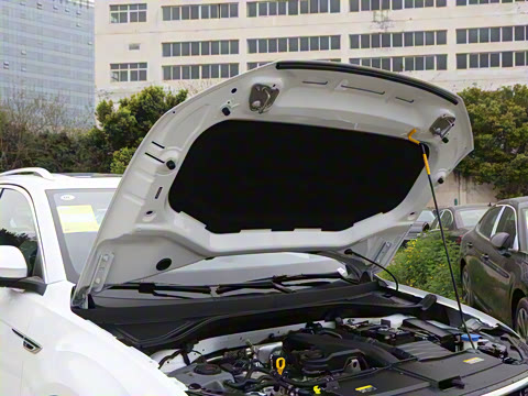 2025�� �Ŀ� 300TSI DSG���������