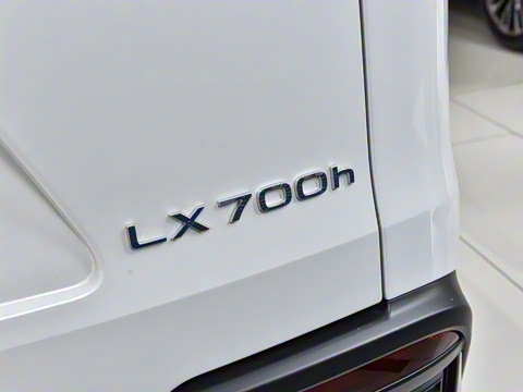 2025�� 700h VIP������