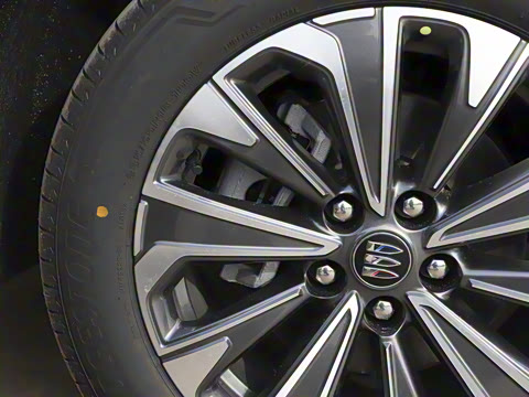 2025�� 25T �׽��