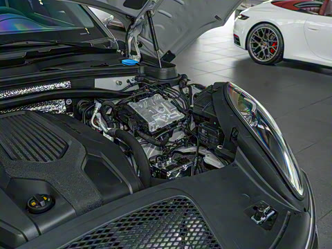 2025�� Macan 2.0T ���ΰ�