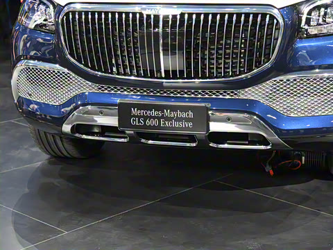 2021�� GLS 600 4MATIC ���а�