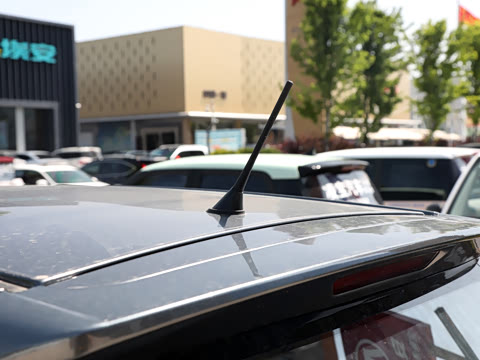 2025�� ���׿�