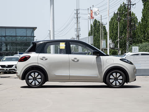 2025�� 333km ������