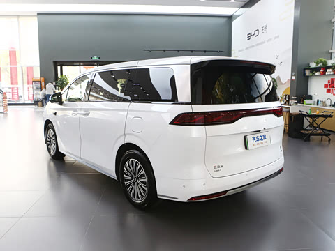 2025�� DM-i 1.5T 180km ��Խ��