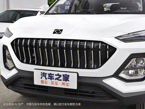 2021�� 300T �ֶ�ȫ�������� 7��