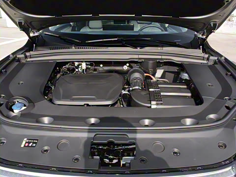 2023�� ������������