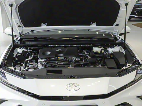 2024�� ˫�� 2.0HS �˶���