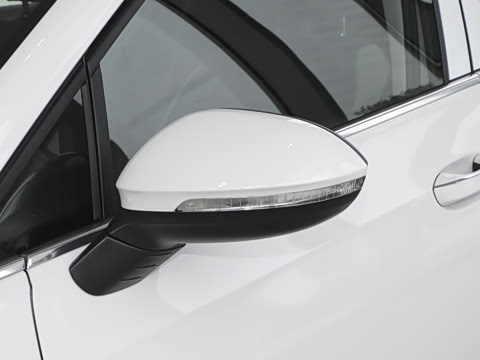 2025�� �Ŀ� 300TSI Pro