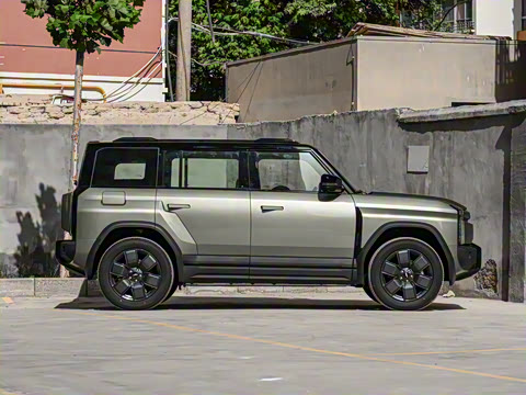 2025�� 501���������