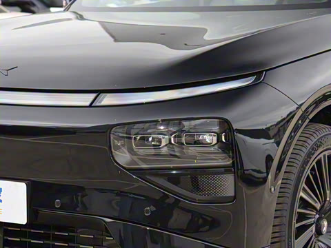 2025�� 725 �������� Max