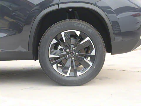 2023�� 300T ����������