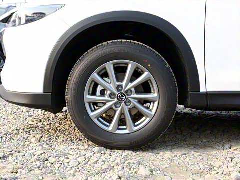 2022�� 2.0L �Զ�����������