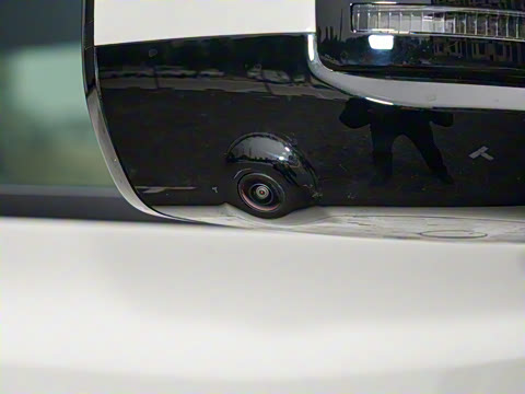 2025�� 501KM ����Max��