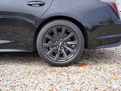 2025�� 28T �������ܰ�