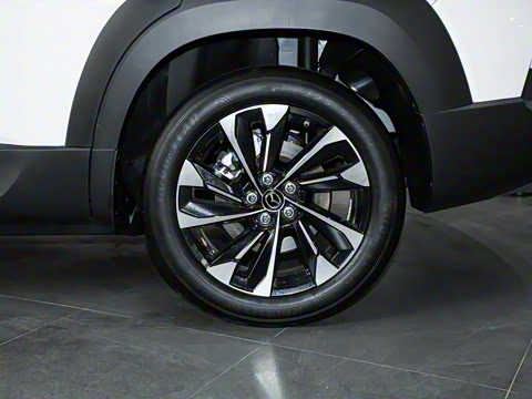 2023�� 2.5L ���а�