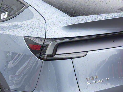 2025�� ����������