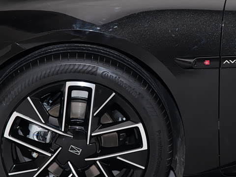 2025�� Max���̰�