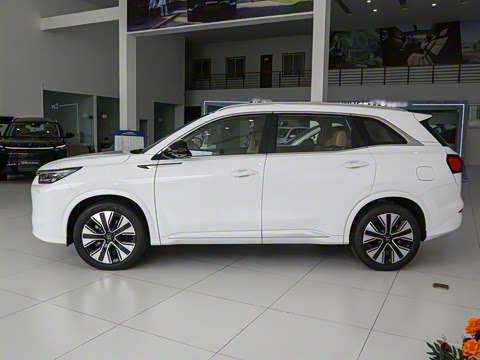 2025�� 165km ���������������� 7��