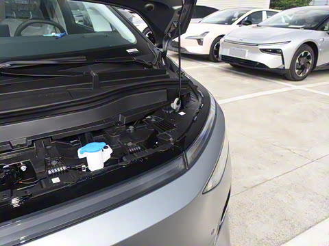 2025�� 650������ Max