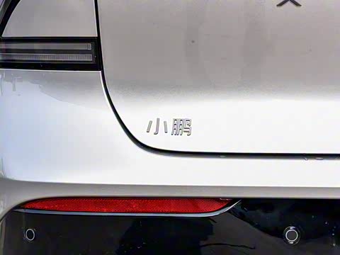 2025�� �������� Max �콢��