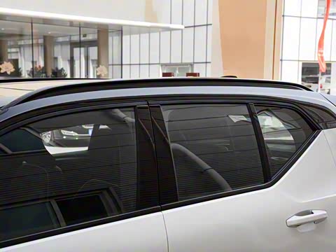 2020�� T4 ������Զ�˶���