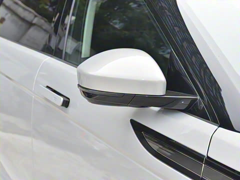 2021�� ����L P300e ������