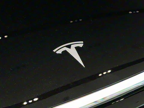 2025�� ����������