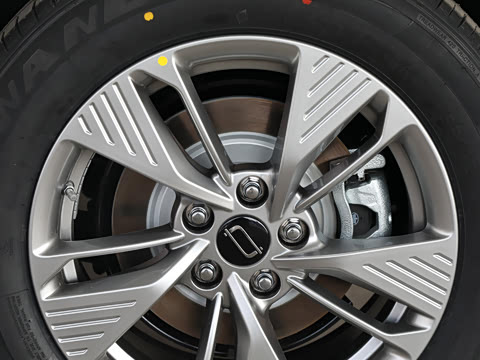 2025�� 445km ���ð�