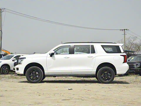 2025�� 2.0T�Զ������촴�� ����