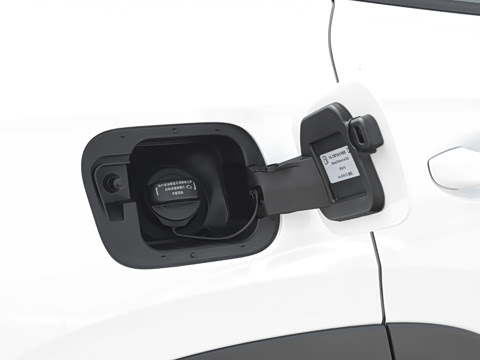 2025�� ̽��L 300TSI ������Ӣ