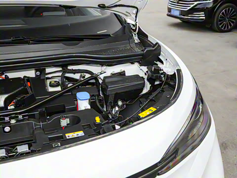 2025�� �Ŀ� ������ ����������