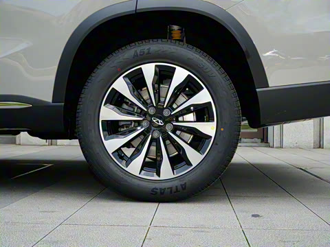 2025�� 290TGDI DCT�˷�� 7��