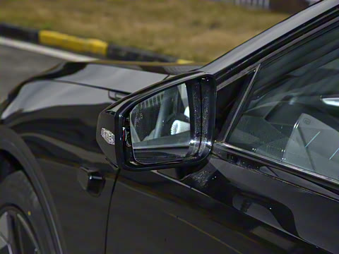 2025�� ���羫Ӣ��