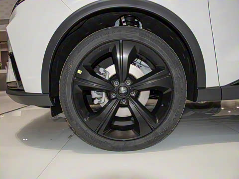 2022�� ���� EcoBoost 170 ��Ӱ