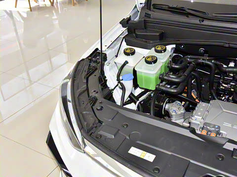 2025�� ��;��׼��