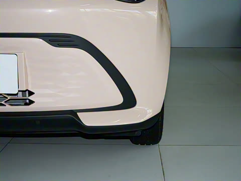 2025�� 305km ������